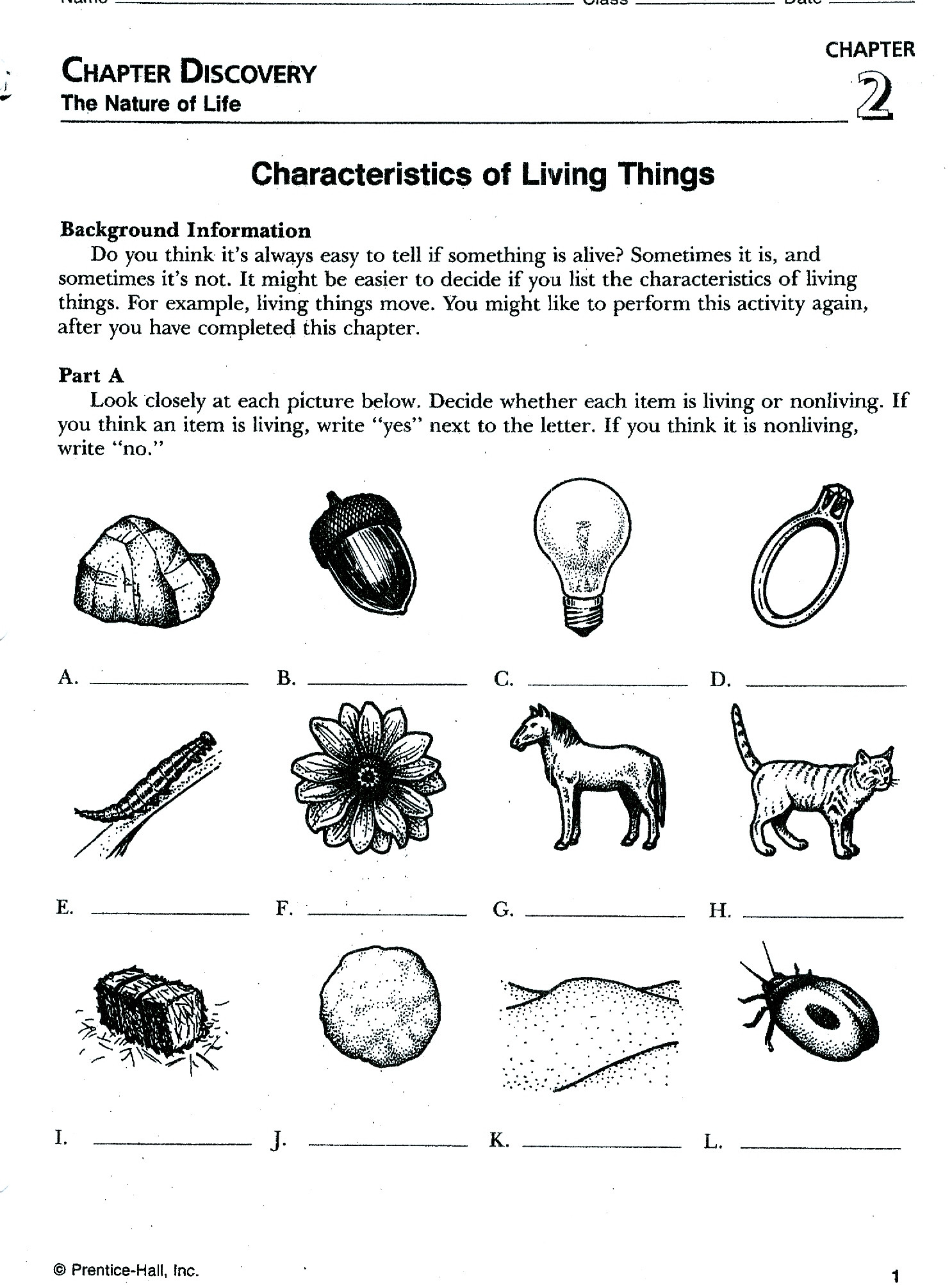 Characteristics Of Living Things Worksheet Basic Needs Living Things Worksheet Promotiontablecovers