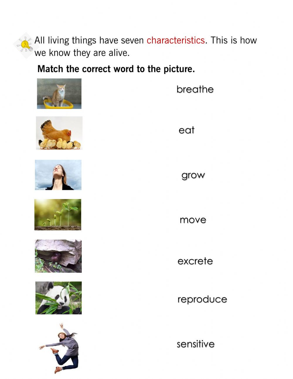 Characteristics Of Living Things Worksheet Characteristics Of Living Things Interactive Worksheet
