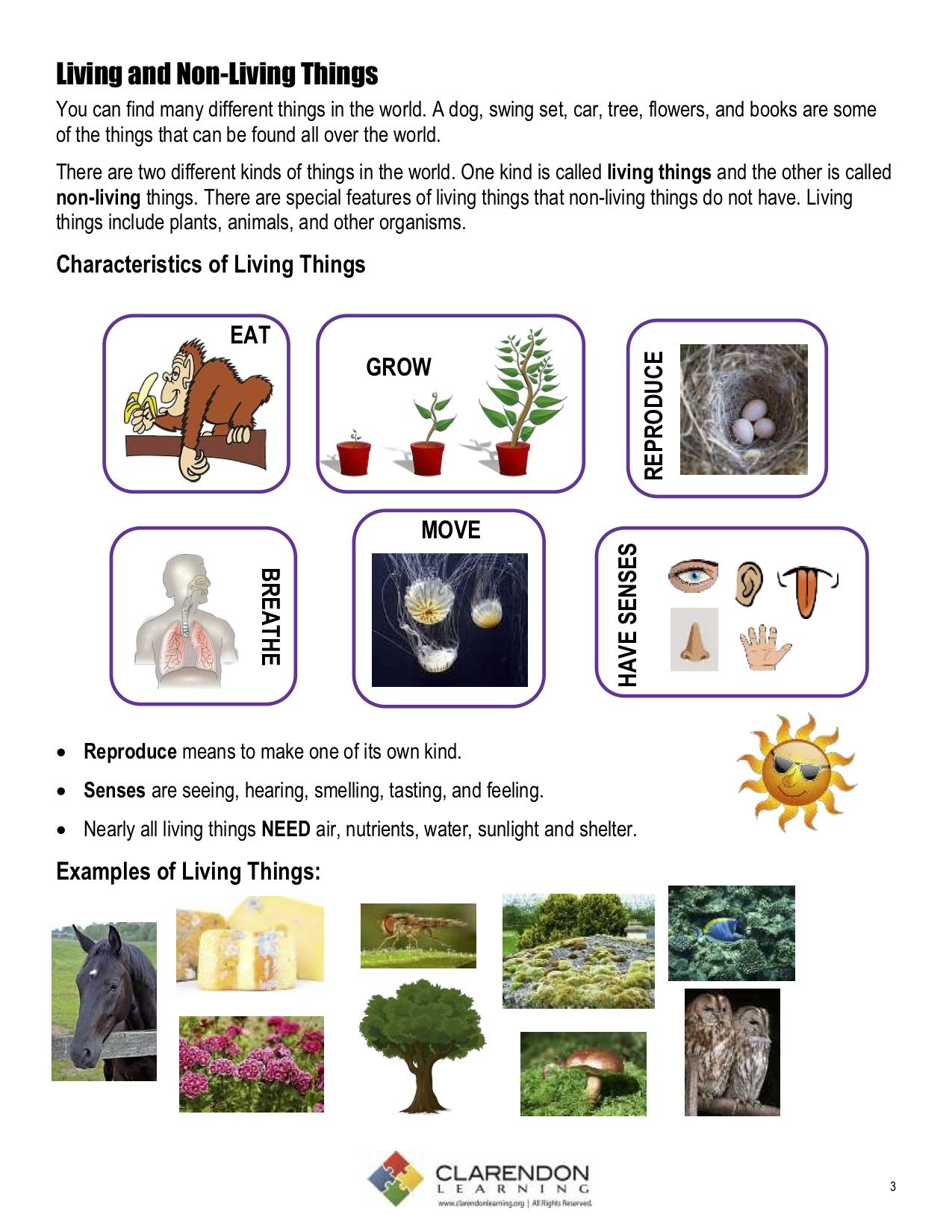 Characteristics Of Living Things Worksheet Living and Non Living Things