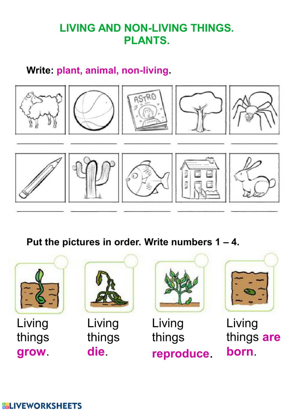Characteristics Of Living Things Worksheet Living Things and Plants Interactive Worksheet