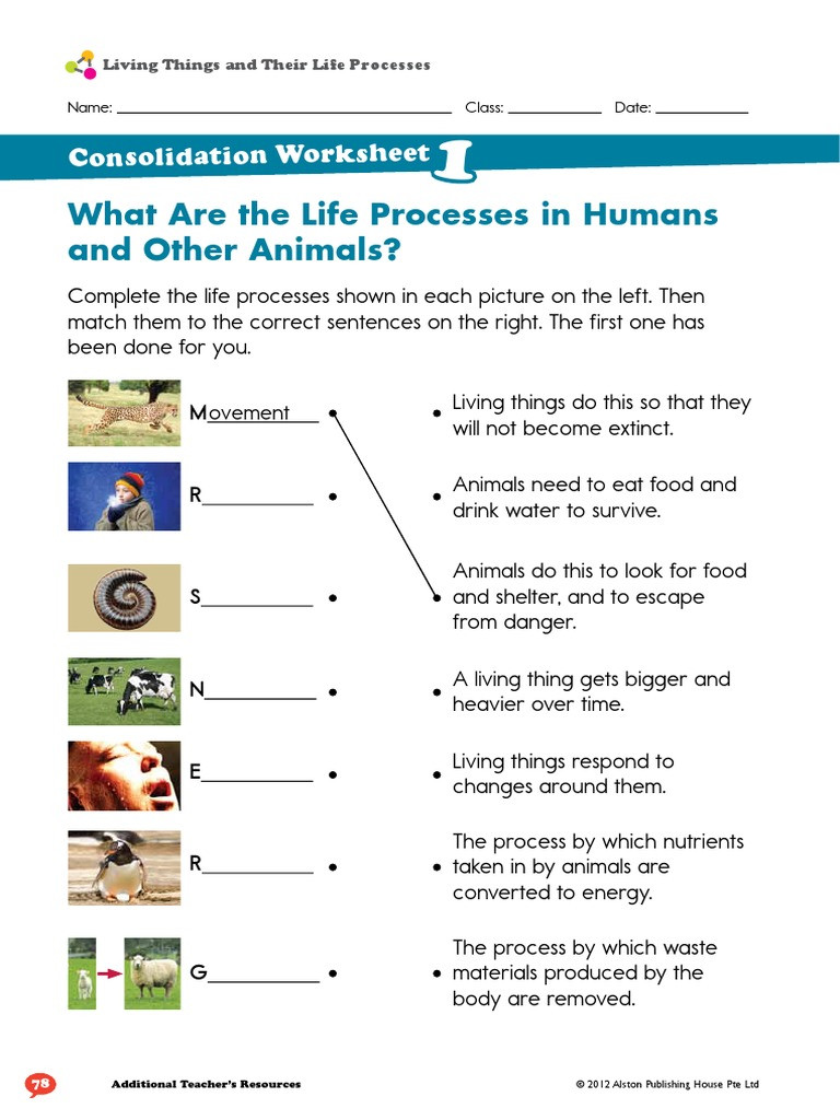 Characteristics Of Living Things Worksheet Living Things and their Life Processes Worksheet Plants