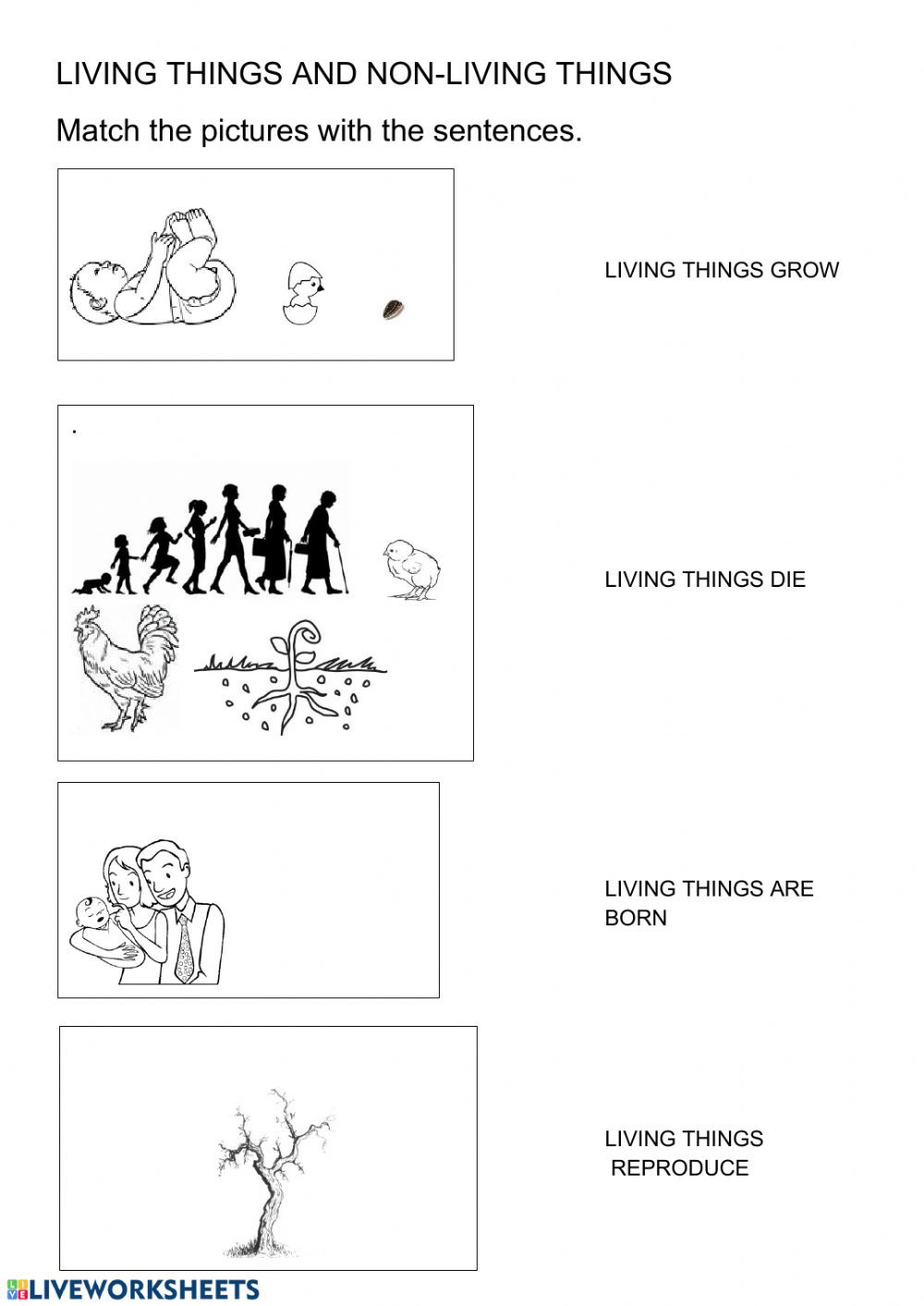 Characteristics Of Living Things Worksheet Living Things Characteristics Interactive Worksheet