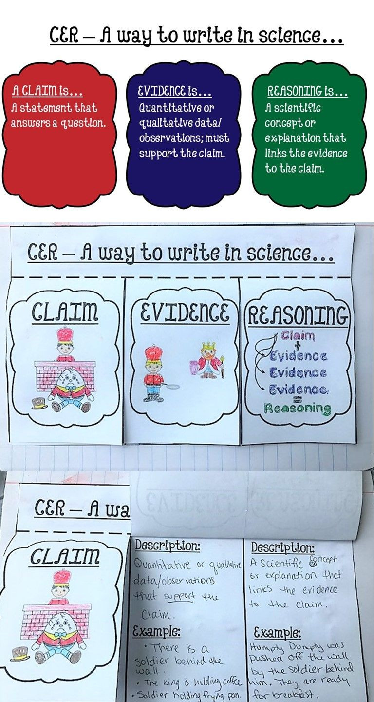 Claim Evidence Reasoning Science Worksheet Cer Claim Evidence Reasoning Introduction Humpty Dumpty