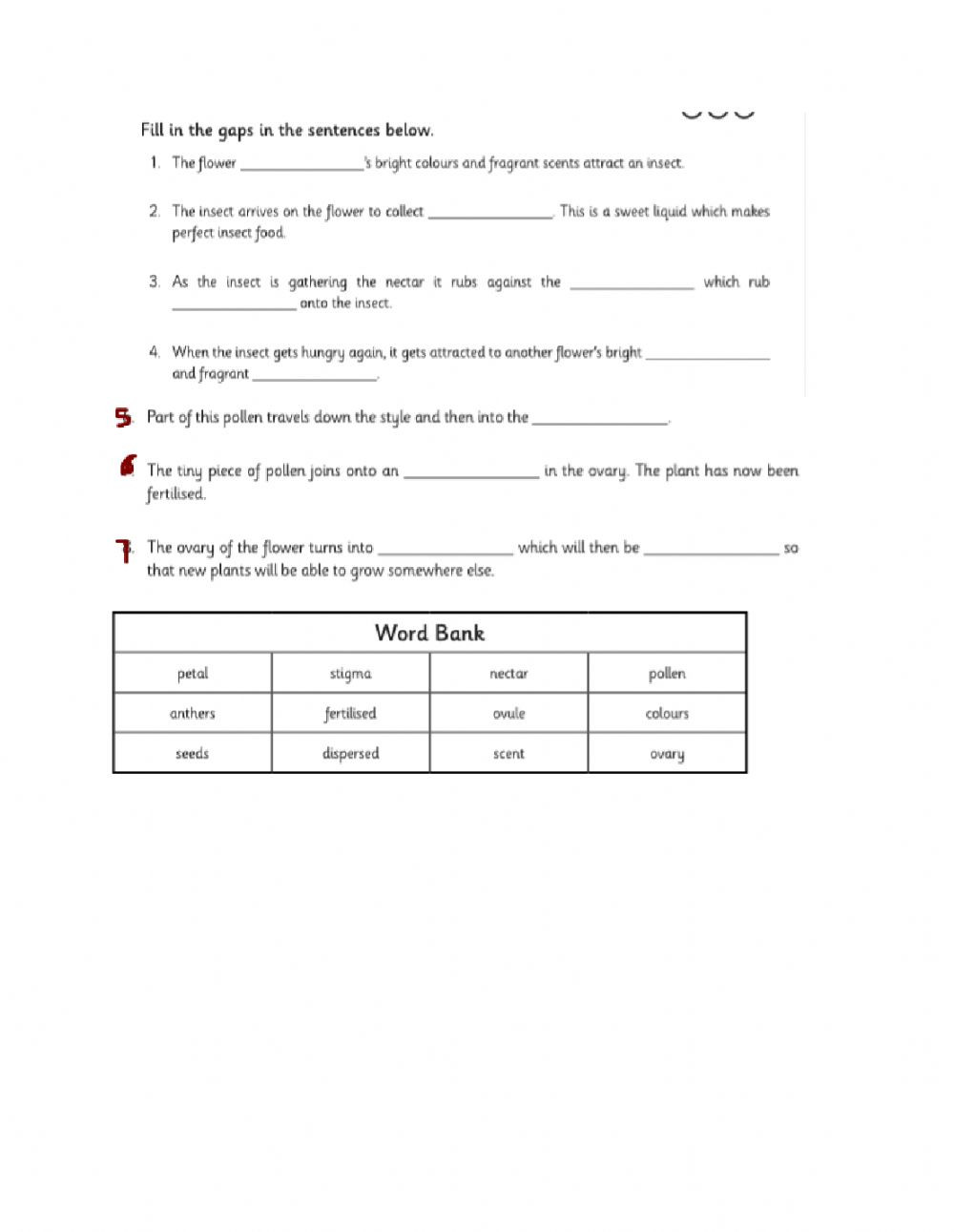 Composition Of Matter Worksheet Answers Pollination Process Interactive Worksheet