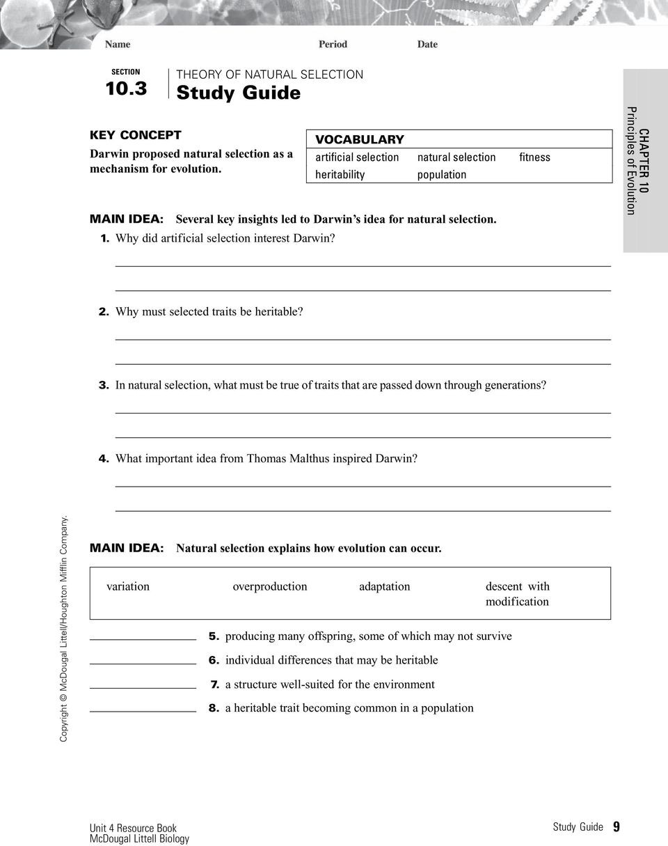 Darwin Natural Selection Worksheet Main Idea Early Scientists Proposed Ideas About Evolution