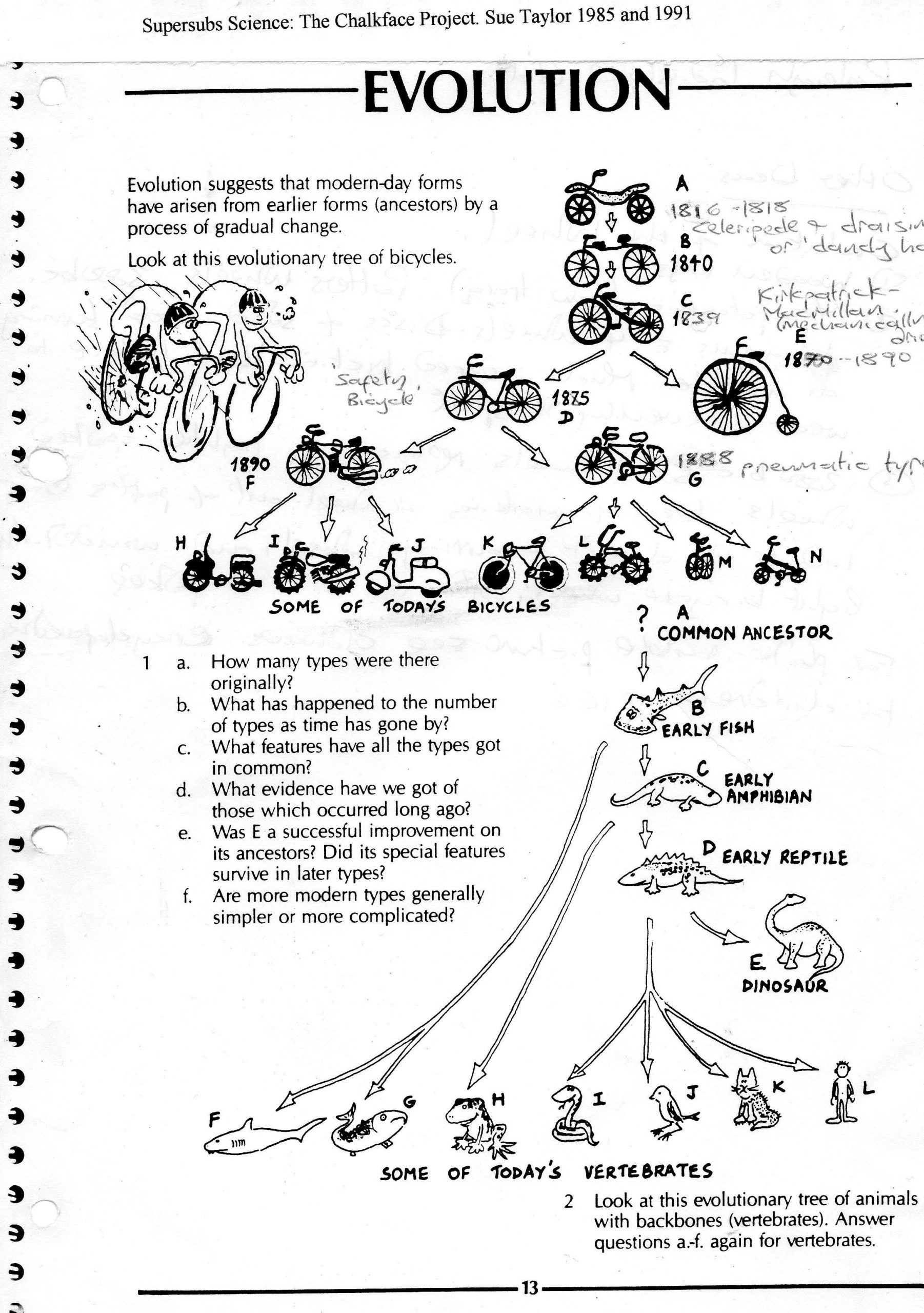 Darwin Natural Selection Worksheet Worksheet On Evolution Using Bicycles as A Metaphor before