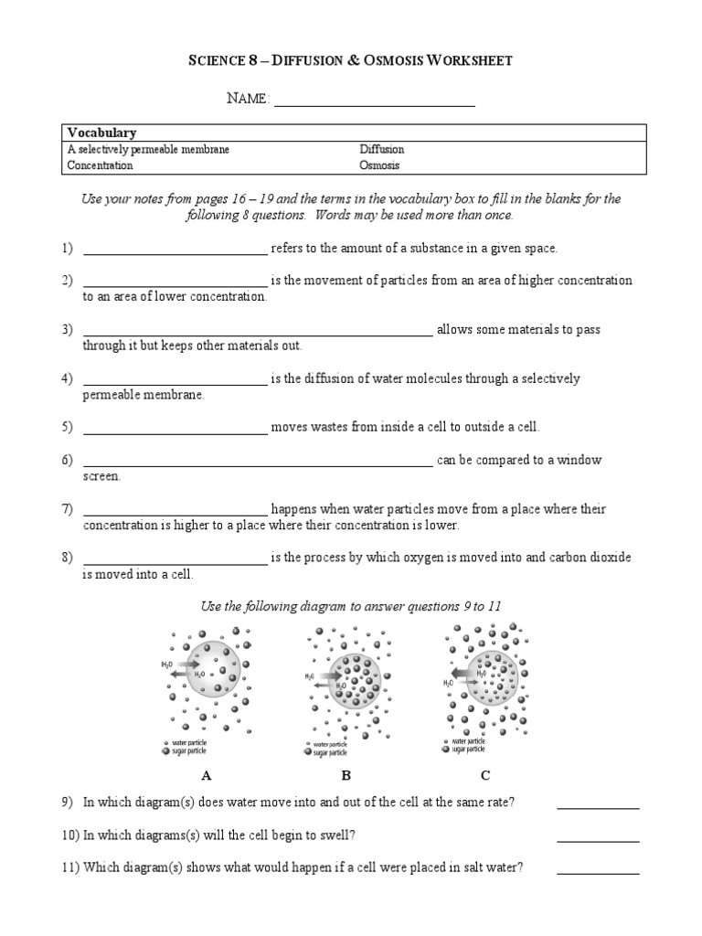 Diffusion and Osmosis Worksheet Answers Diffusion Osmosis Worksheet 1 Osmosis