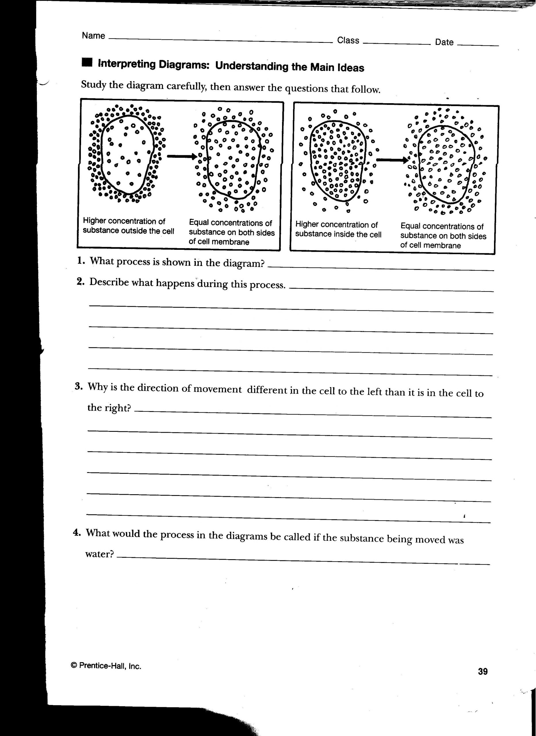 Diffusion and Osmosis Worksheet Answers Osmosis Worksheet Answer Key Mr Croft