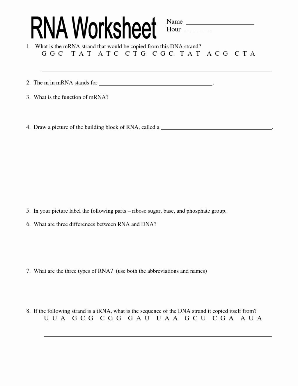 Dna and Rna Worksheet 50 Dna and Rna Worksheet Answers In 2020