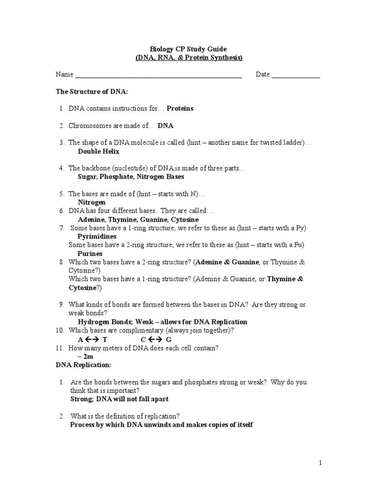Dna and Rna Worksheet Biology Cp Study Guide Dna Rna &amp; Protein Synthesis