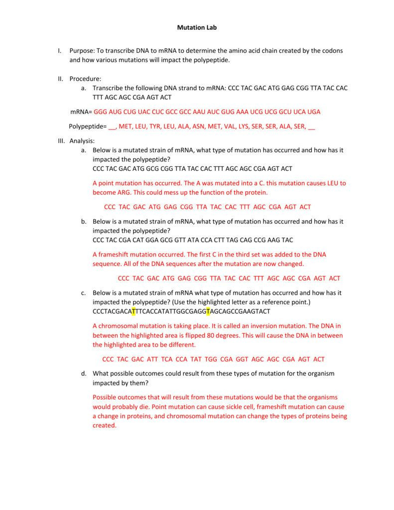 Dna Mutation Practice Worksheet Answers Dna Mutation Practice Worksheet Answers Worksheet List