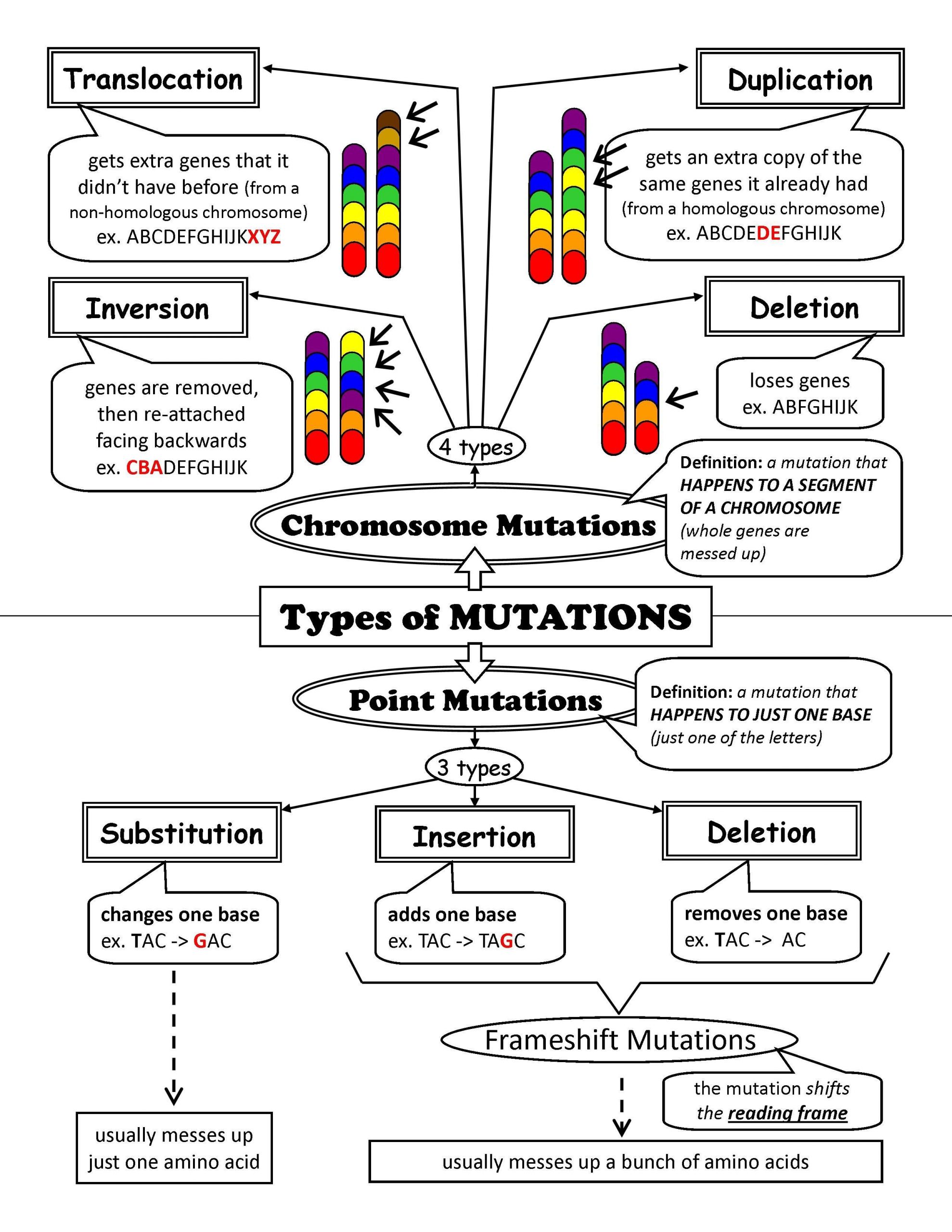 Dna Mutation Practice Worksheet Answers Dna Worksheets Google Search