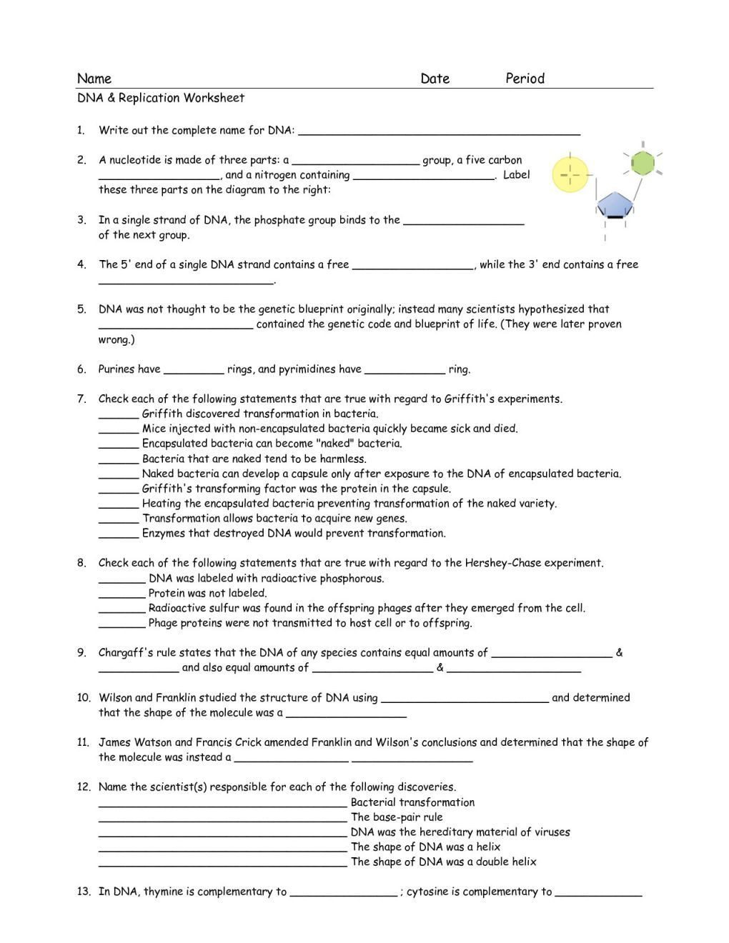 Dna Structure and Replication Worksheet 33 Structure Dna and Replication Worksheet Answers