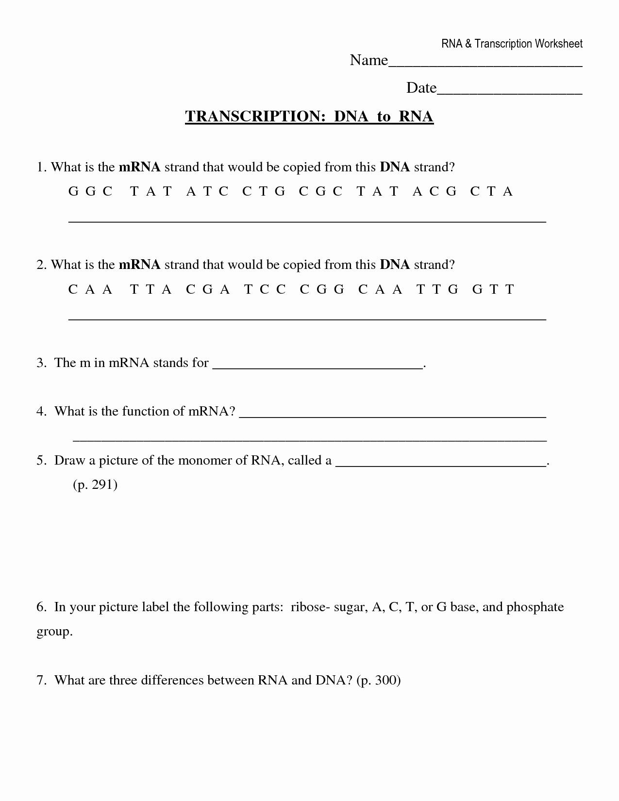 Dna Transcription and Translation Worksheet 50 Dna and Rna Worksheet Answers In 2020 with Images