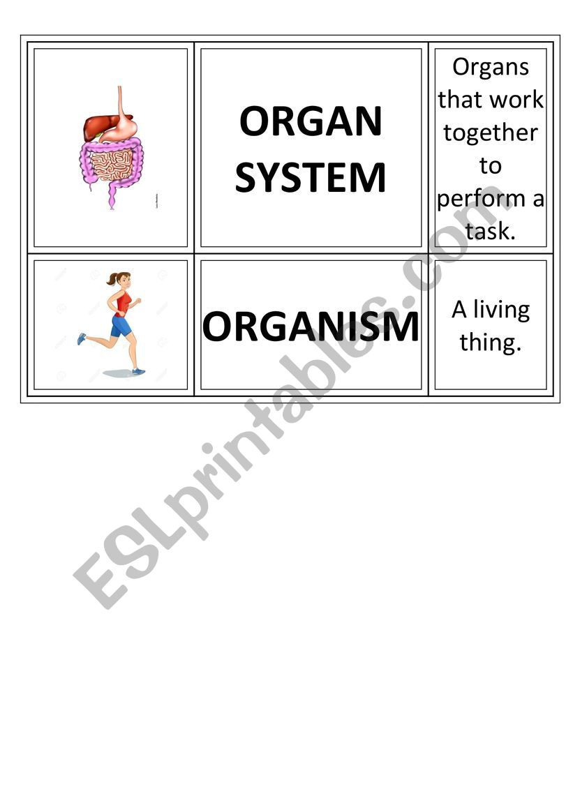 Levels Of organization Worksheet Cell Levels Of organization Of Living Things Esl