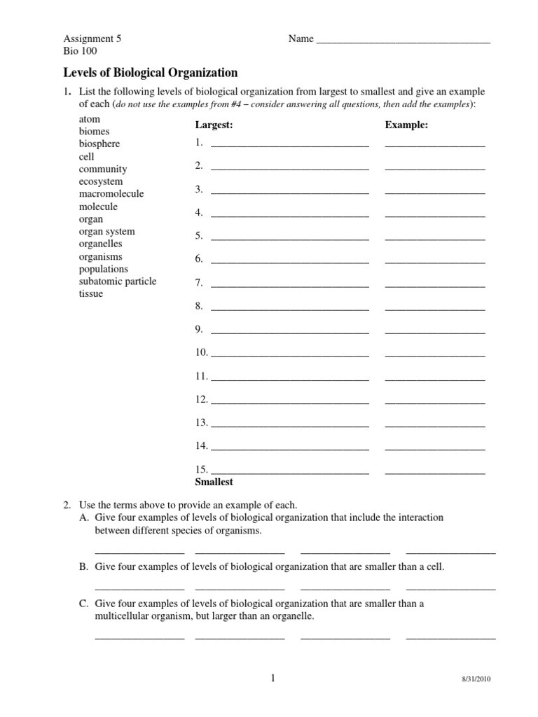 Levels Of organization Worksheet Levels Of Biological organization Worksheet Pdf