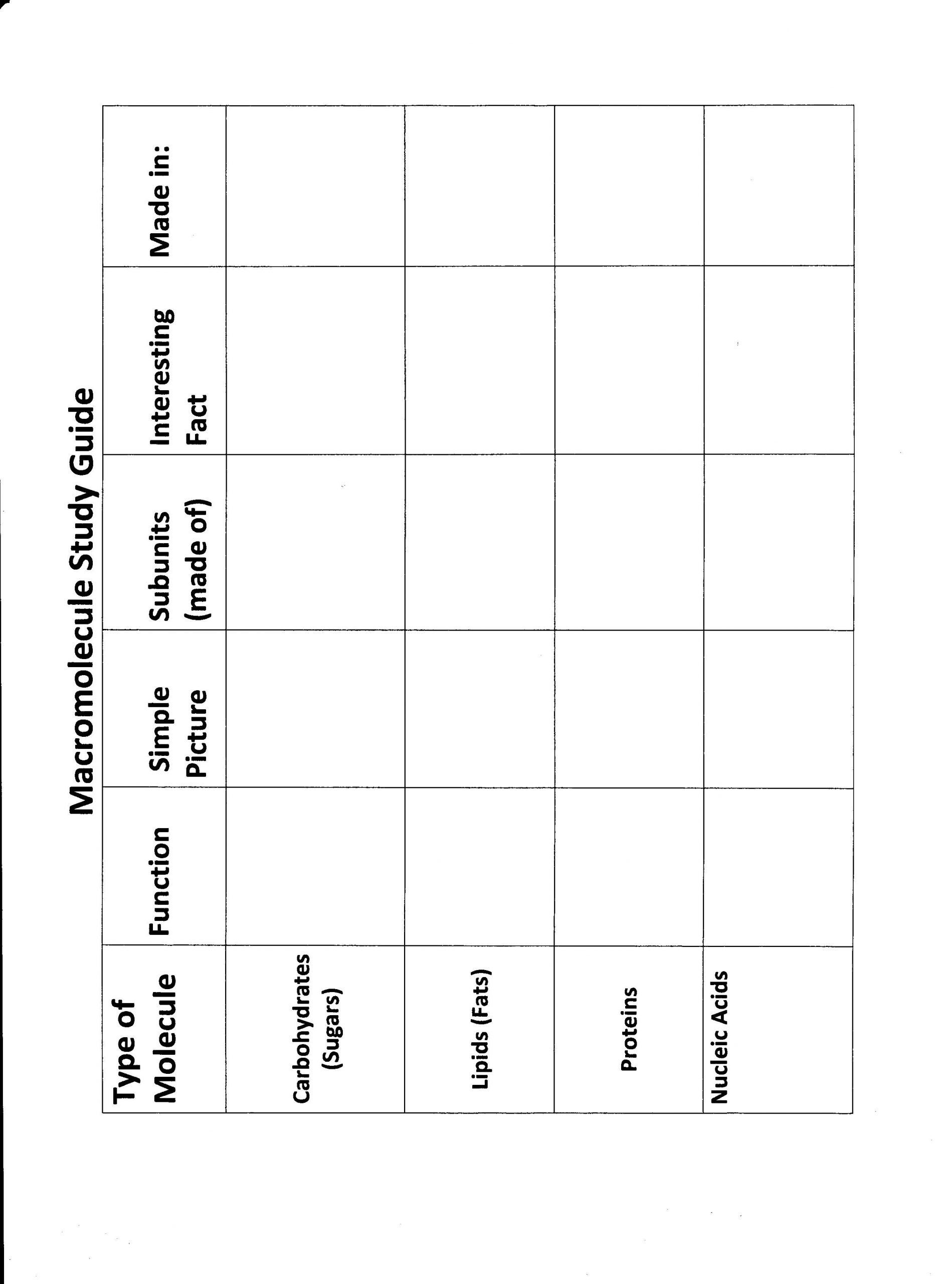 Macromolecules Worksheet 2 Answers 29 Macromolecules and Nutrition Label Worksheet Answers