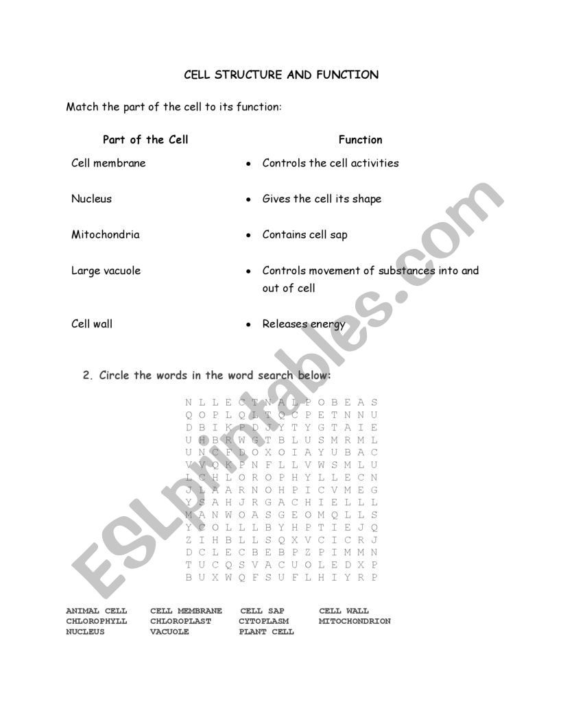 Membrane Structure and Function Worksheet Cell Structure and Function Esl Worksheet by Jolanelang