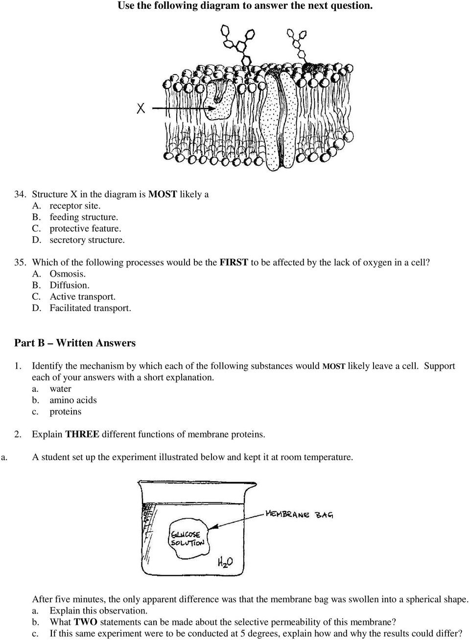 Membrane Structure and Function Worksheet Membrane Structure and Function Pdf Free Download