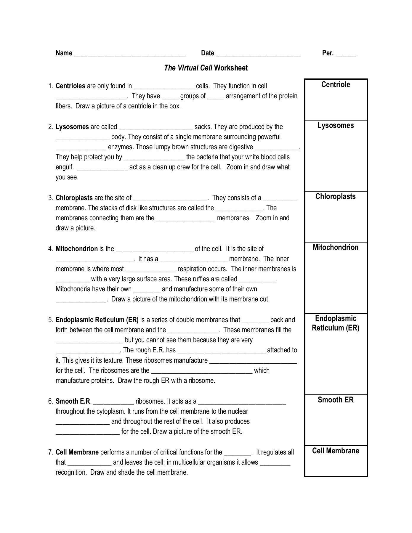 Membrane Structure and Function Worksheet the Virtual Cell Worksheet Centriole Lysosomes Pages 1