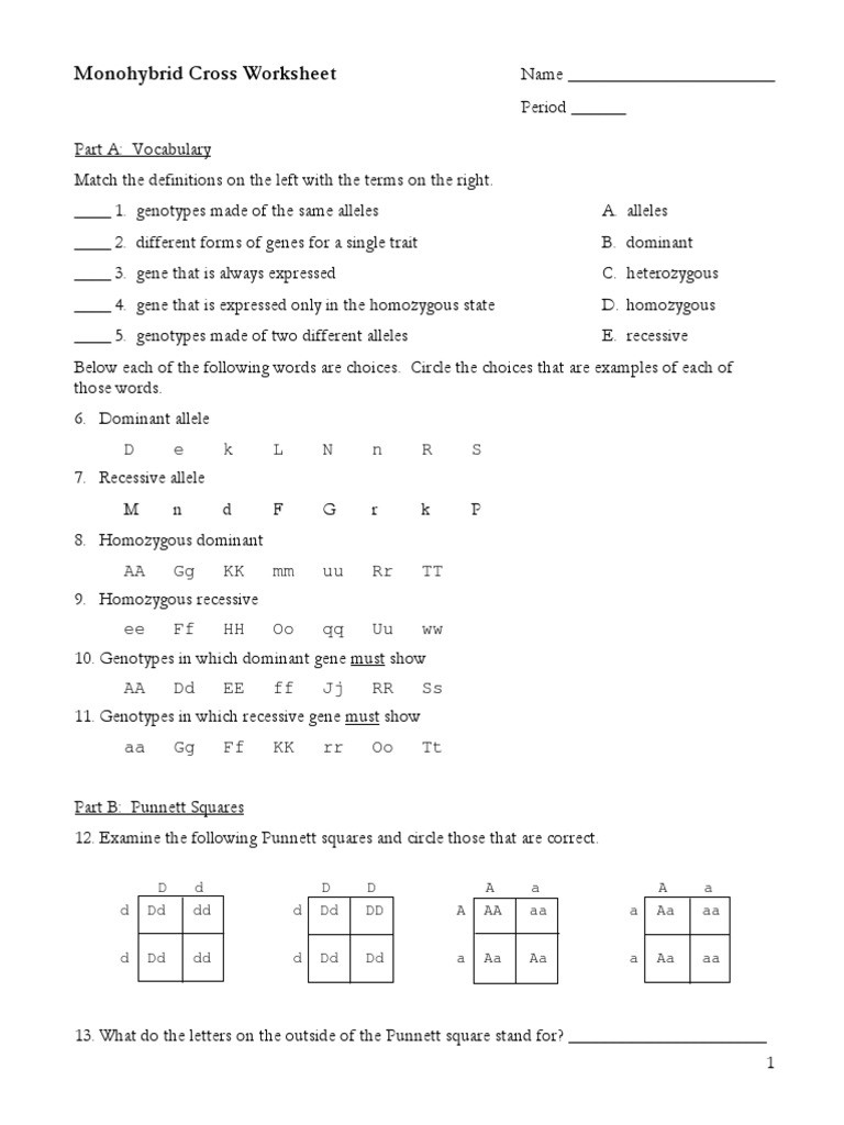 Monohybrid Crosses Worksheet Answers Monohybrid Cross Homework 1 Pdf