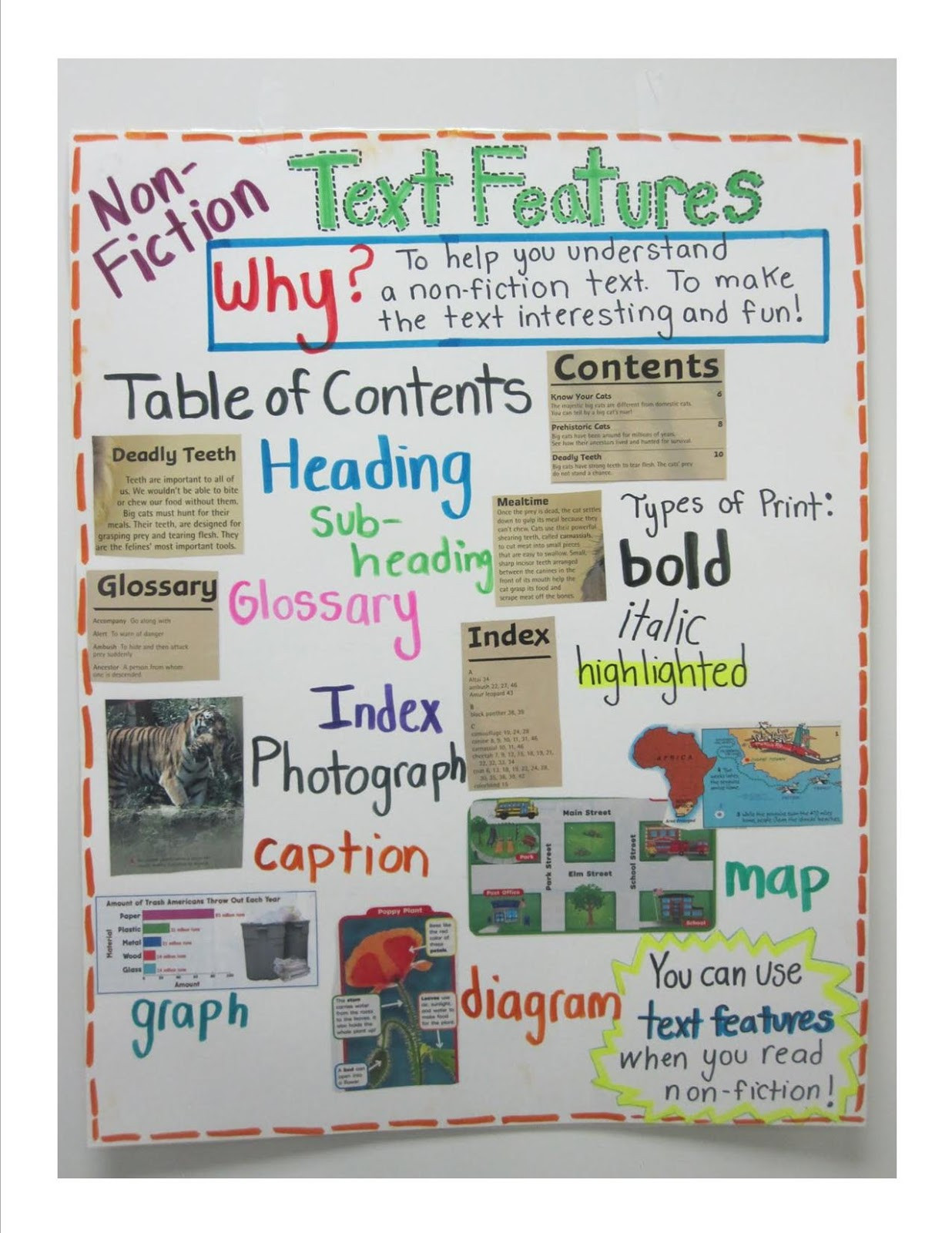 Nonfiction Text Features Worksheet 14 Best S Of Nonfiction Text Features First Grade