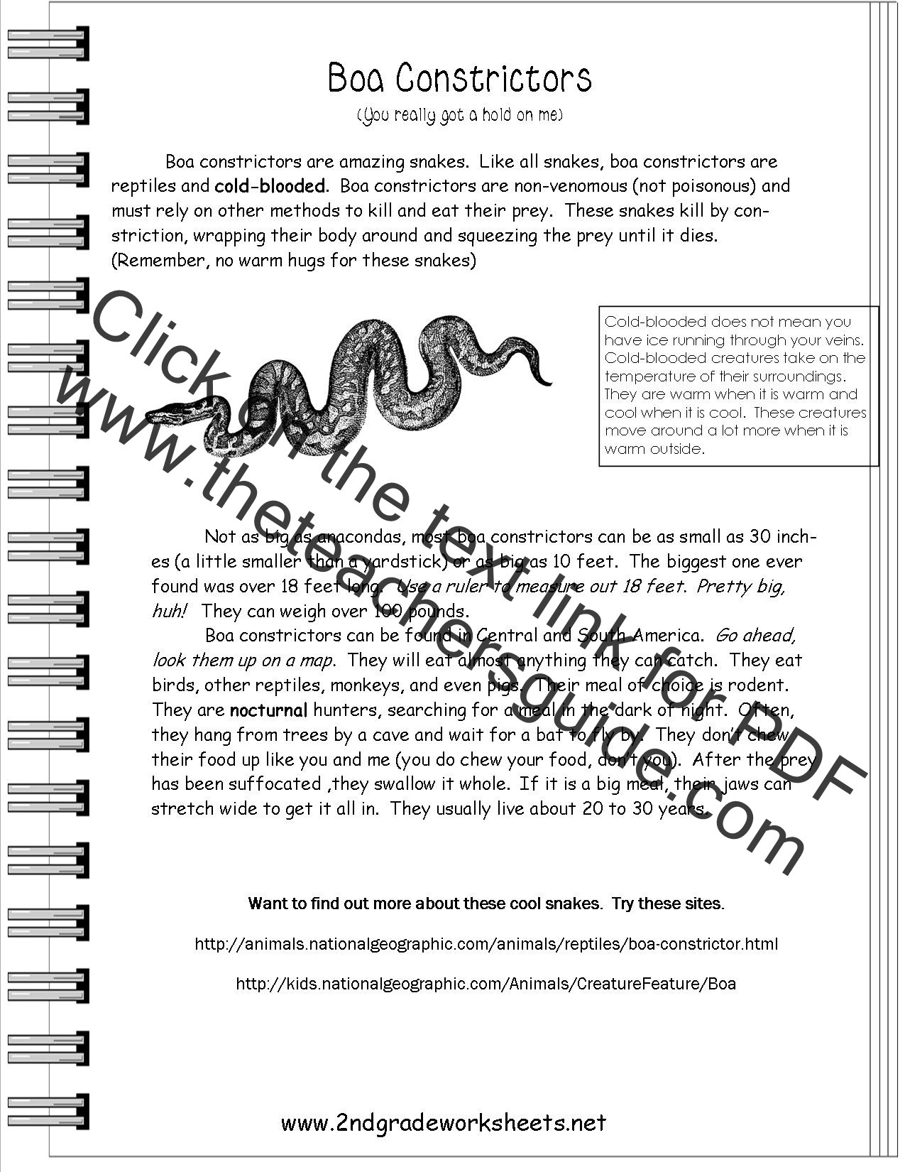Nonfiction Text Features Worksheet Reading Informational Text Worksheets