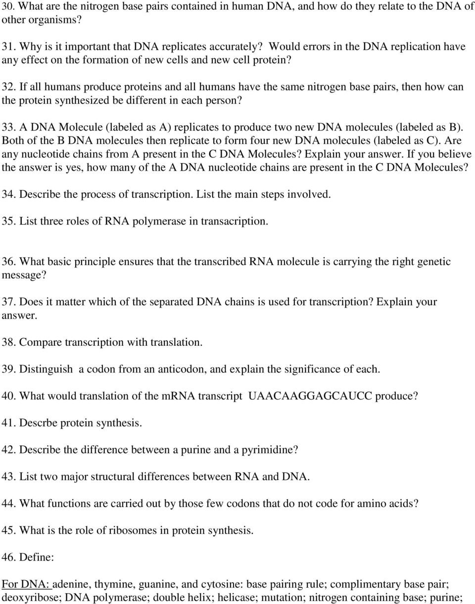 Nucleic Acids Worksheet Answers Academic Nucleic Acids and Protein Synthesis Test Pdf Free