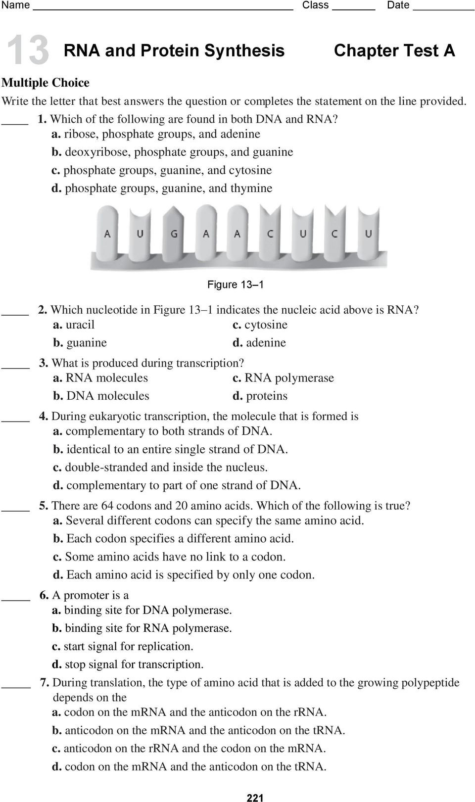 Nucleic Acids Worksheet Answers Name Class Date Figure which Nucleotide In Figure 13 1