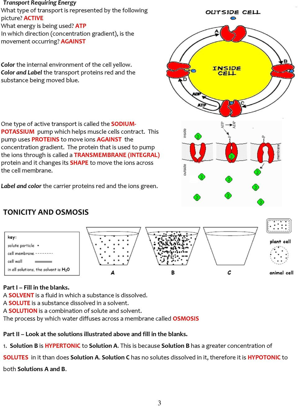 Osmosis and tonicity Worksheet Cell Membrane &amp; tonicity Worksheet Pdf Free Download