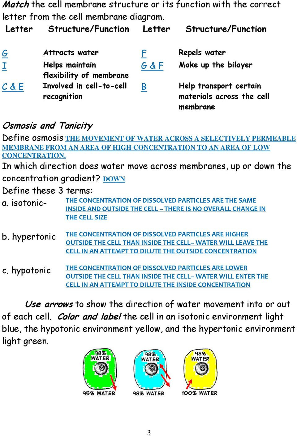 Osmosis and tonicity Worksheet Cell Membrane Coloring Worksheet Pdf Free Download