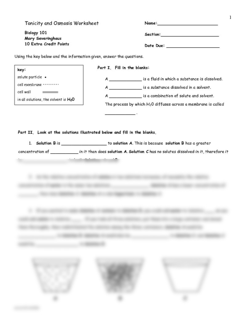 Osmosis and tonicity Worksheet tonicity Worksheet