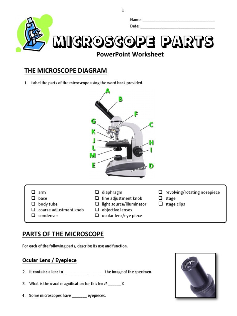 Parts Of A Microscope Worksheet 13 Microscope Parts Powerpoint Worksheet