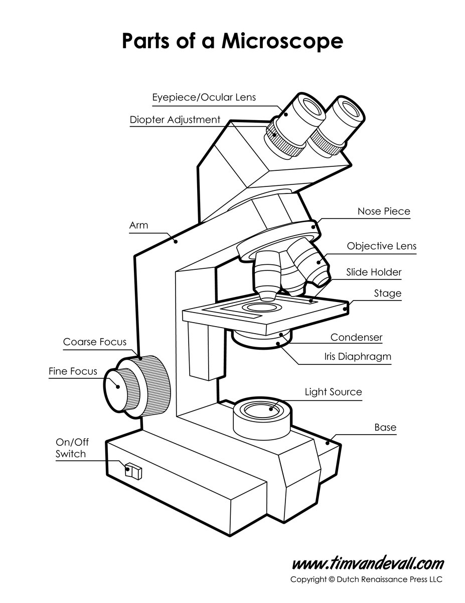 Parts Of A Microscope Worksheet Microscope Diagram Tim S Printables
