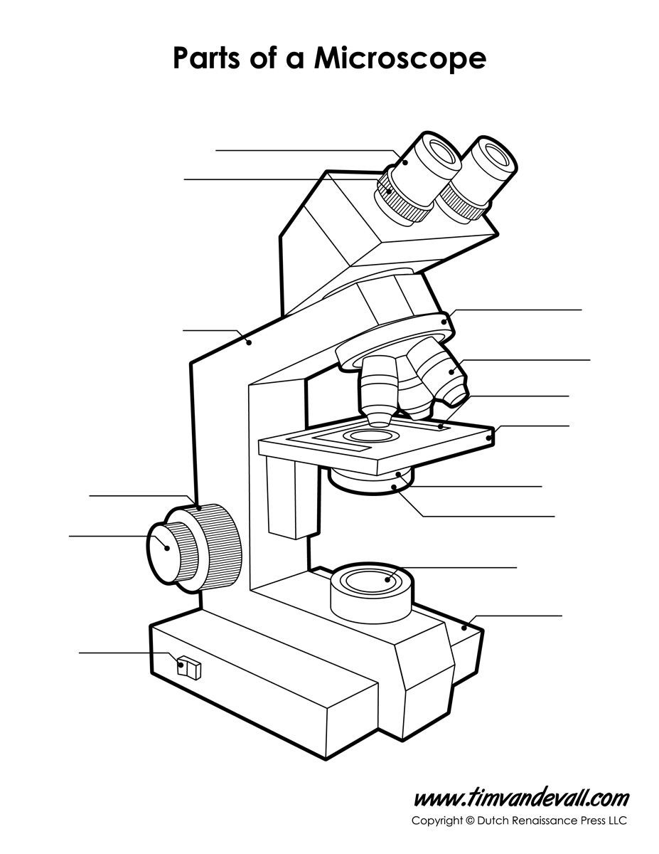 Parts Of A Microscope Worksheet Microscope Diagram Unlabeled 9271200