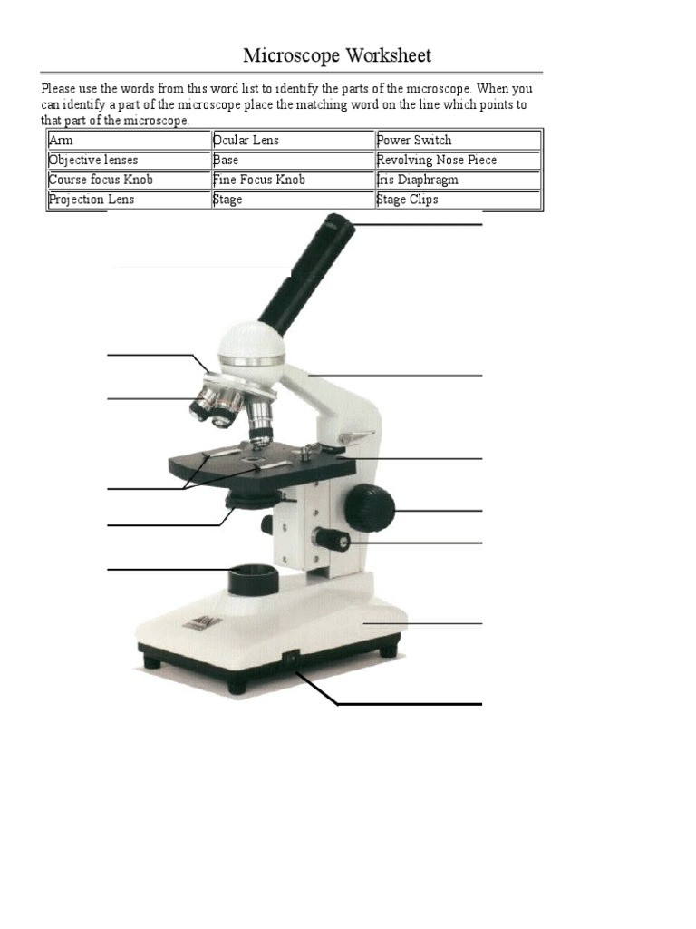 Parts Of A Microscope Worksheet Microscope Parts Worksheet