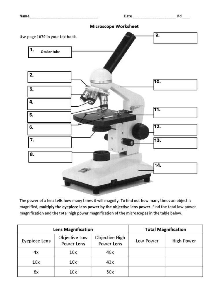Parts Of A Microscope Worksheet Microscope Worksheet