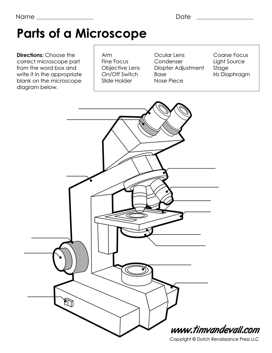 Parts Of A Microscope Worksheet Microscope Worksheet Tim S Printables