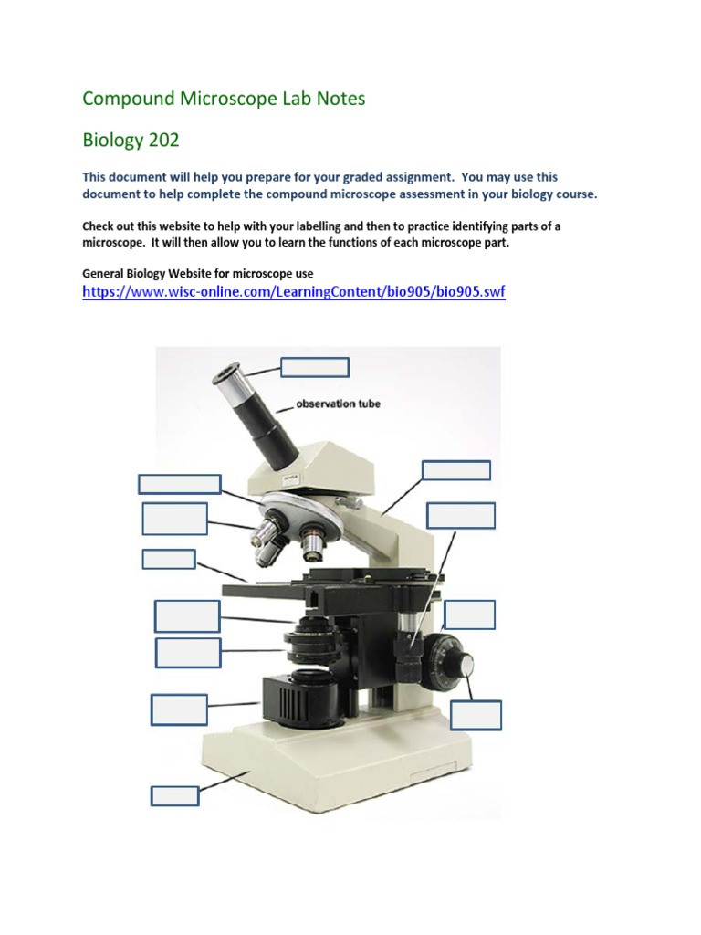 Parts Of A Microscope Worksheet Pound Microscope Lab Notes Microscopy