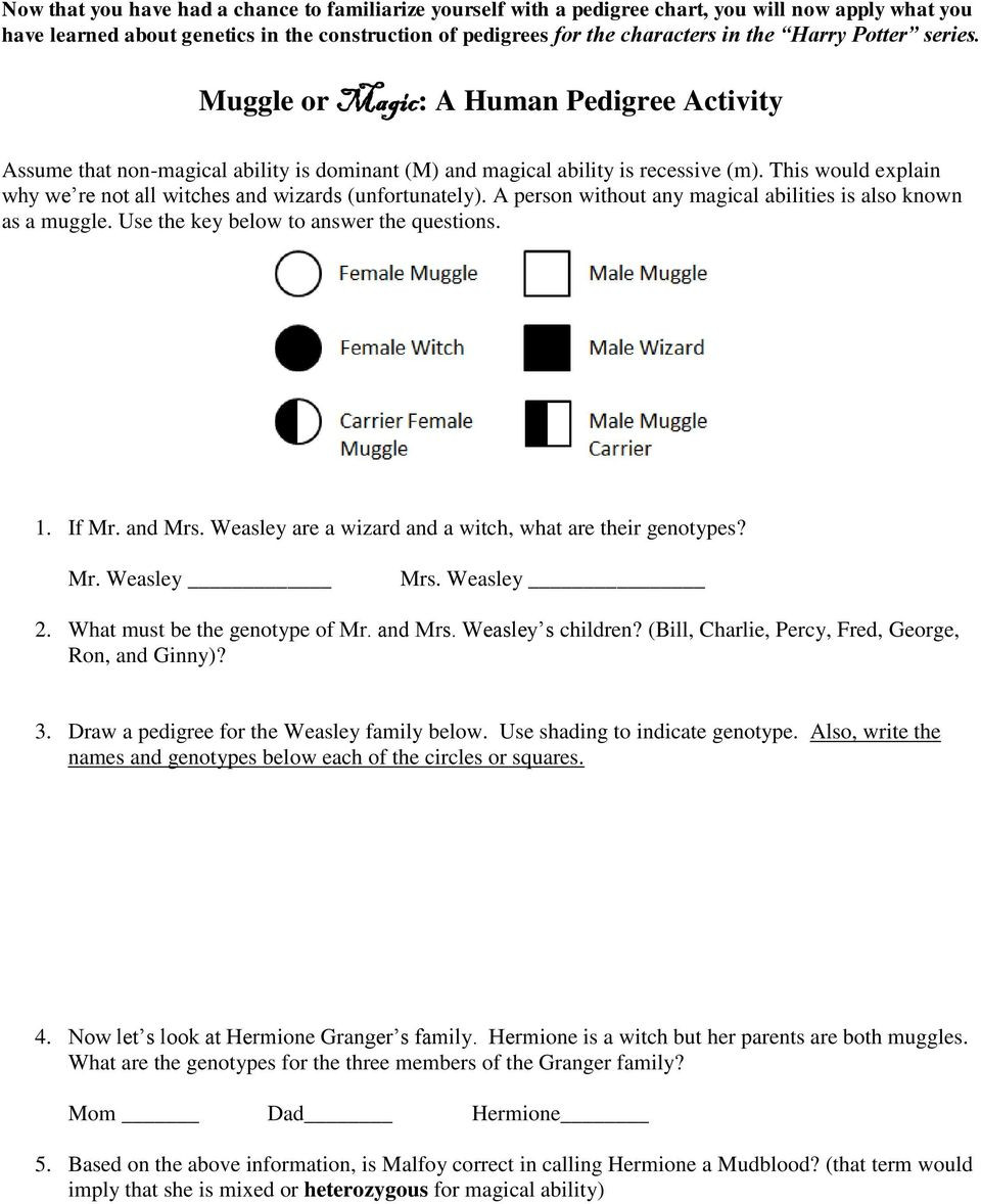 Pedigree Worksheet Answer Key Building A Pedigree Observe the Symbols and the Example Of