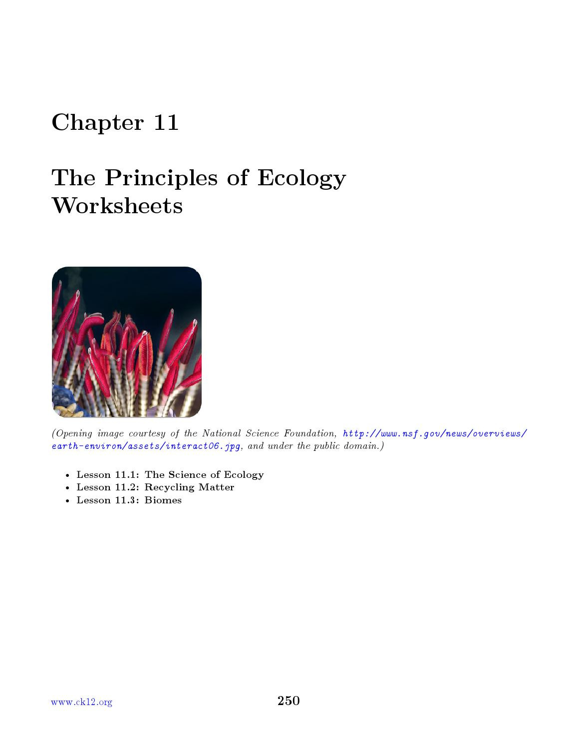 Principles Of Ecology Worksheet Answers Chapter 11 Ck 12 Biology Chapter 11 Worksheets by Watabec