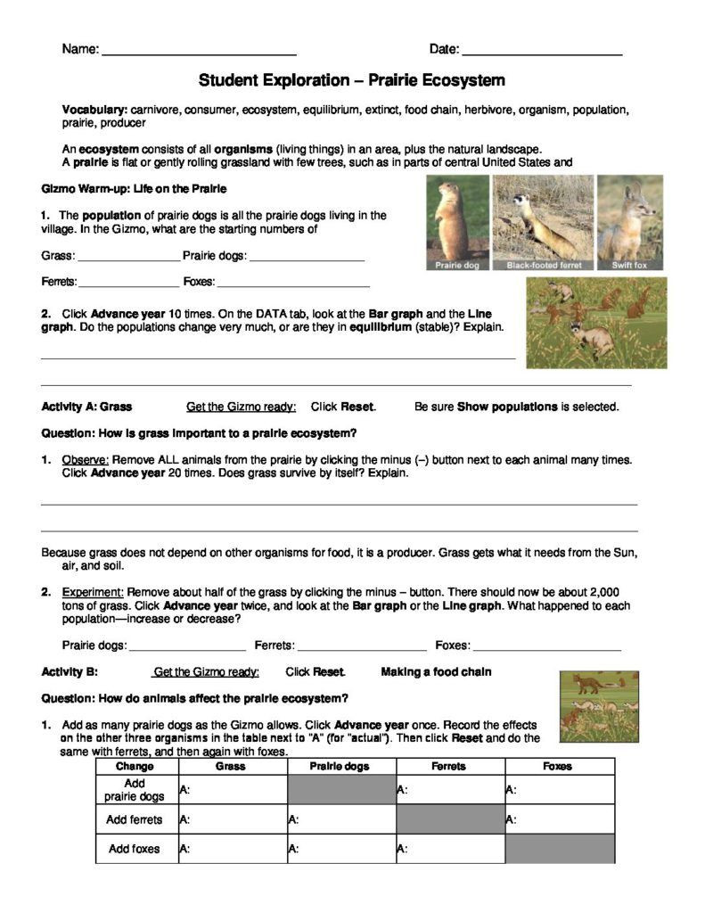 Principles Of Ecology Worksheet Answers Prairie Ecosystems Gizmo