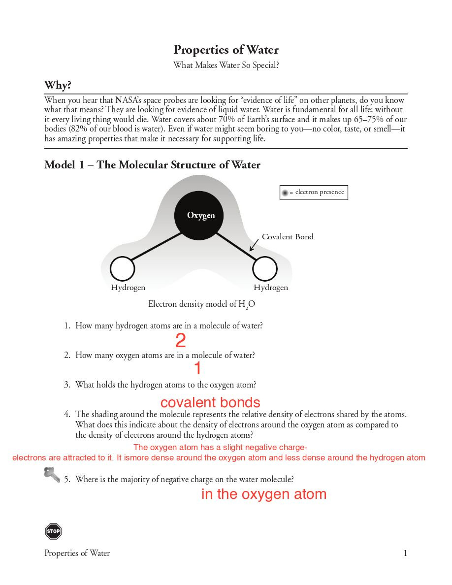 Properties Of Water Worksheet Biology 5 Properties Of Water Simplebooklet