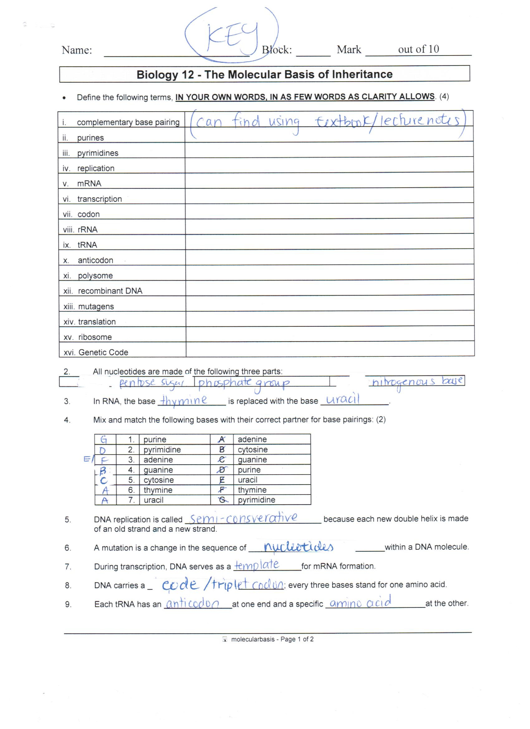 Protein Synthesis Review Worksheet Answer Key Dna Protein Synthesis and Mutations Review