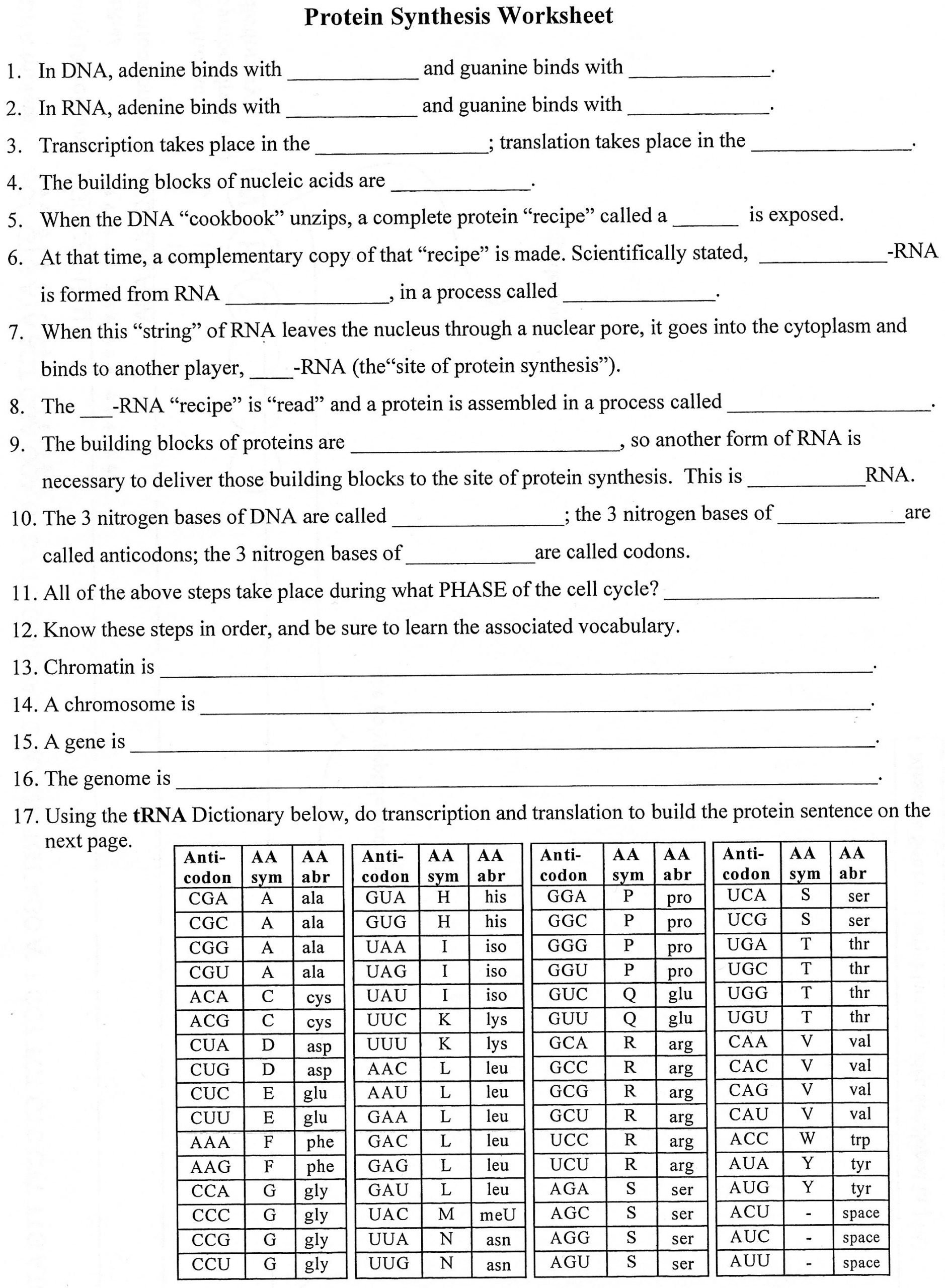 Protein Synthesis Review Worksheet Unit 4 Rna and Transcription Worksheet