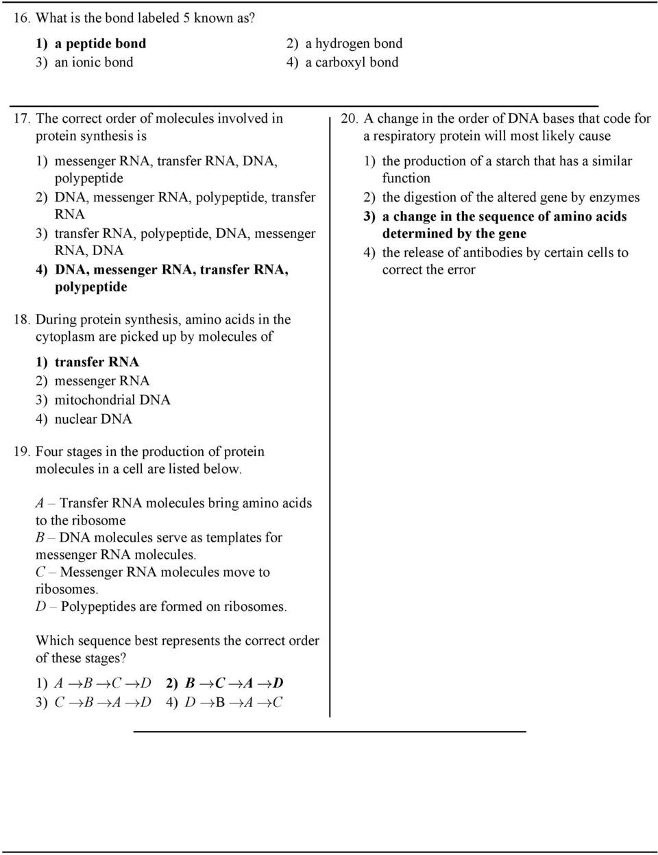 Protein Synthesis Review Worksheet Worksheet Determination Protein Amino Acids