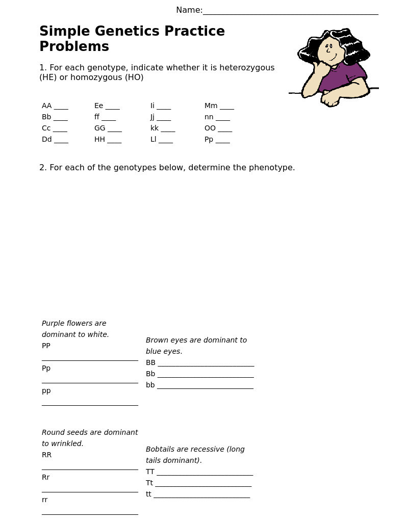 Punnett Square Practice Problems Worksheet Simple Genetics Practice Problems Worksheet for 1st 12th