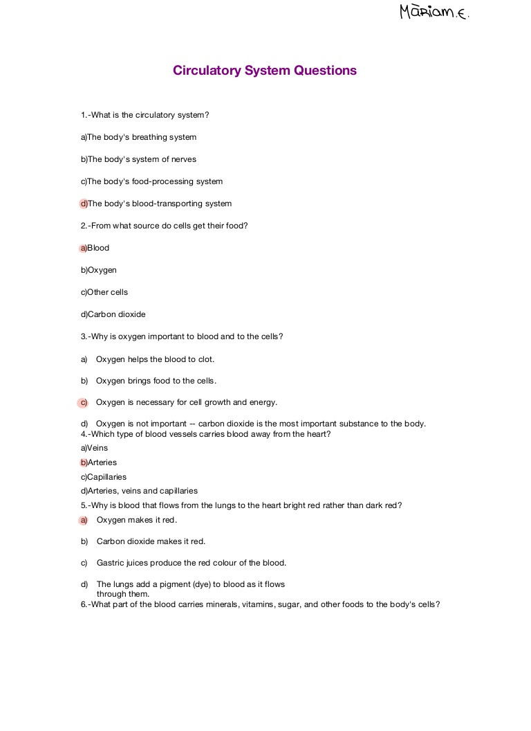 The Circulatory System Worksheet Circulatory System Questions