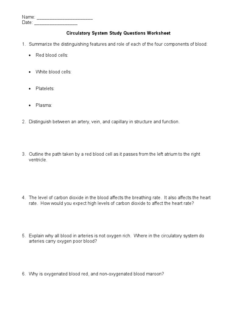 The Circulatory System Worksheet Circulatory System Study Questions Worksheetc