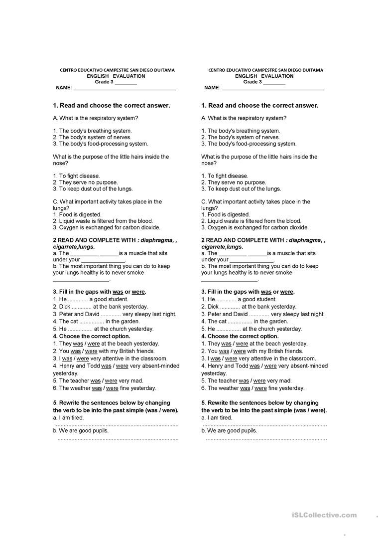 The Respiratory System Worksheet Respiratory System English Esl Worksheets for Distance